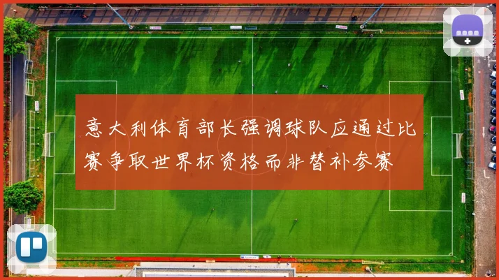 意大利体育部长强调球队应通过比赛争取世界杯资格而非替补参赛